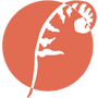 Blush Fern LTD