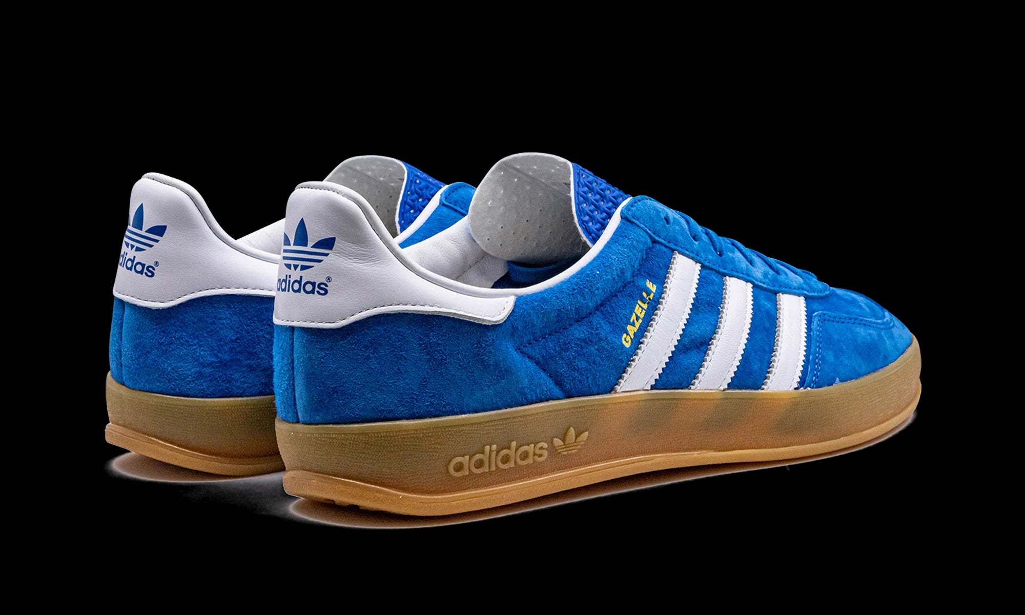 Gazelle Indoor "Blue Bird"