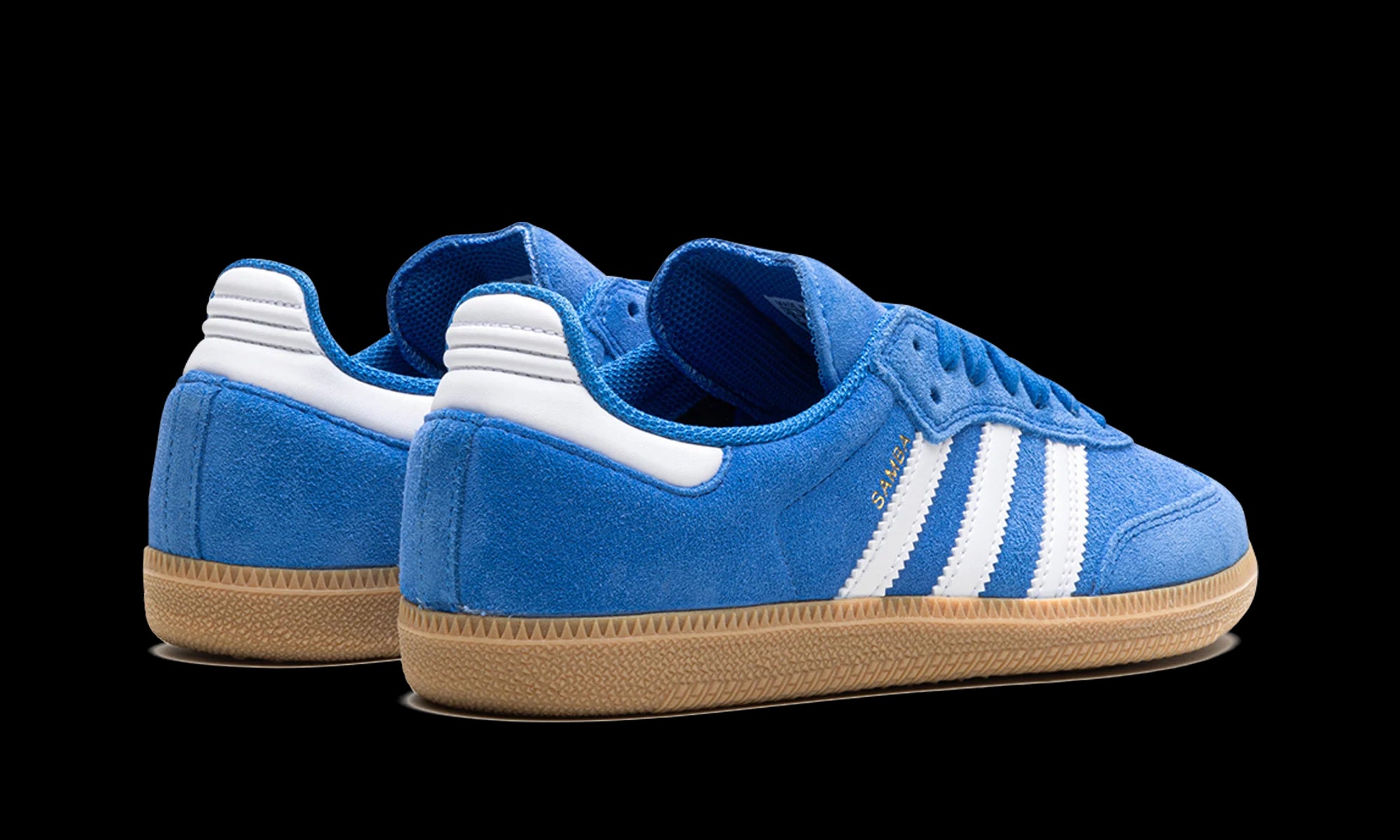 Samba Adv "Blue Bird"