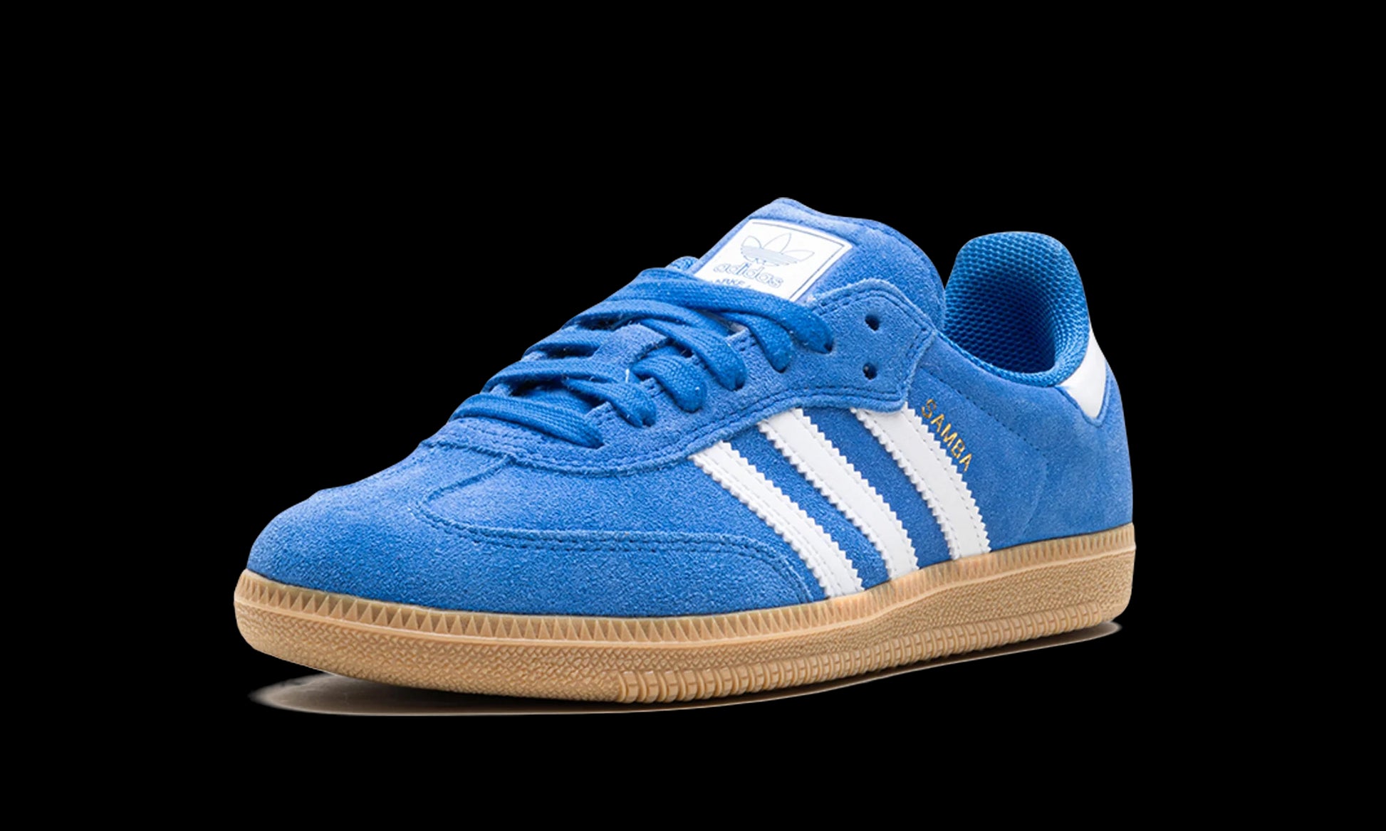 Samba Adv "Blue Bird"